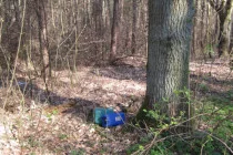 fruehjahrsputz2012 01