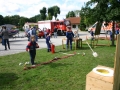 ff 2010 23