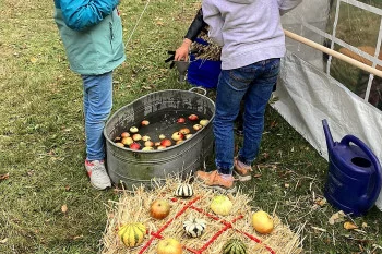 erntefest 2024