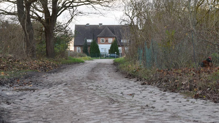 Ahornweg in Leist 1