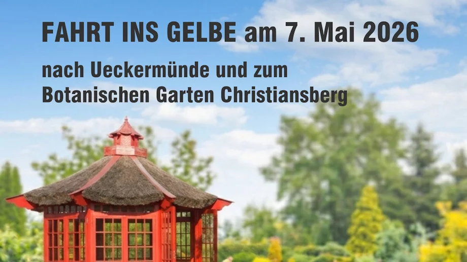 Fahrt ins Gelbe 2026